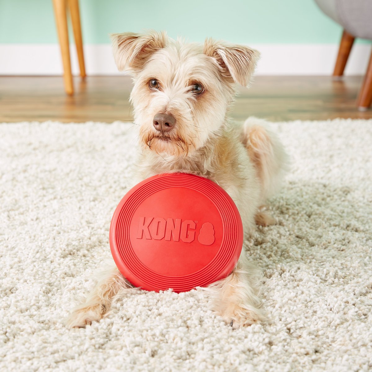 KONG Classic Flyer Dog Toy