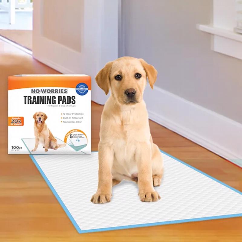 PET TRAINING PADS 100CT