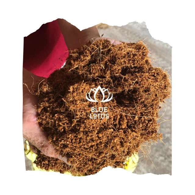 Wholesale price Peat Moss Coconut Coir Pellets Seedling Soil Block 5kg Coco Peat From Viet Nam Garden Plants