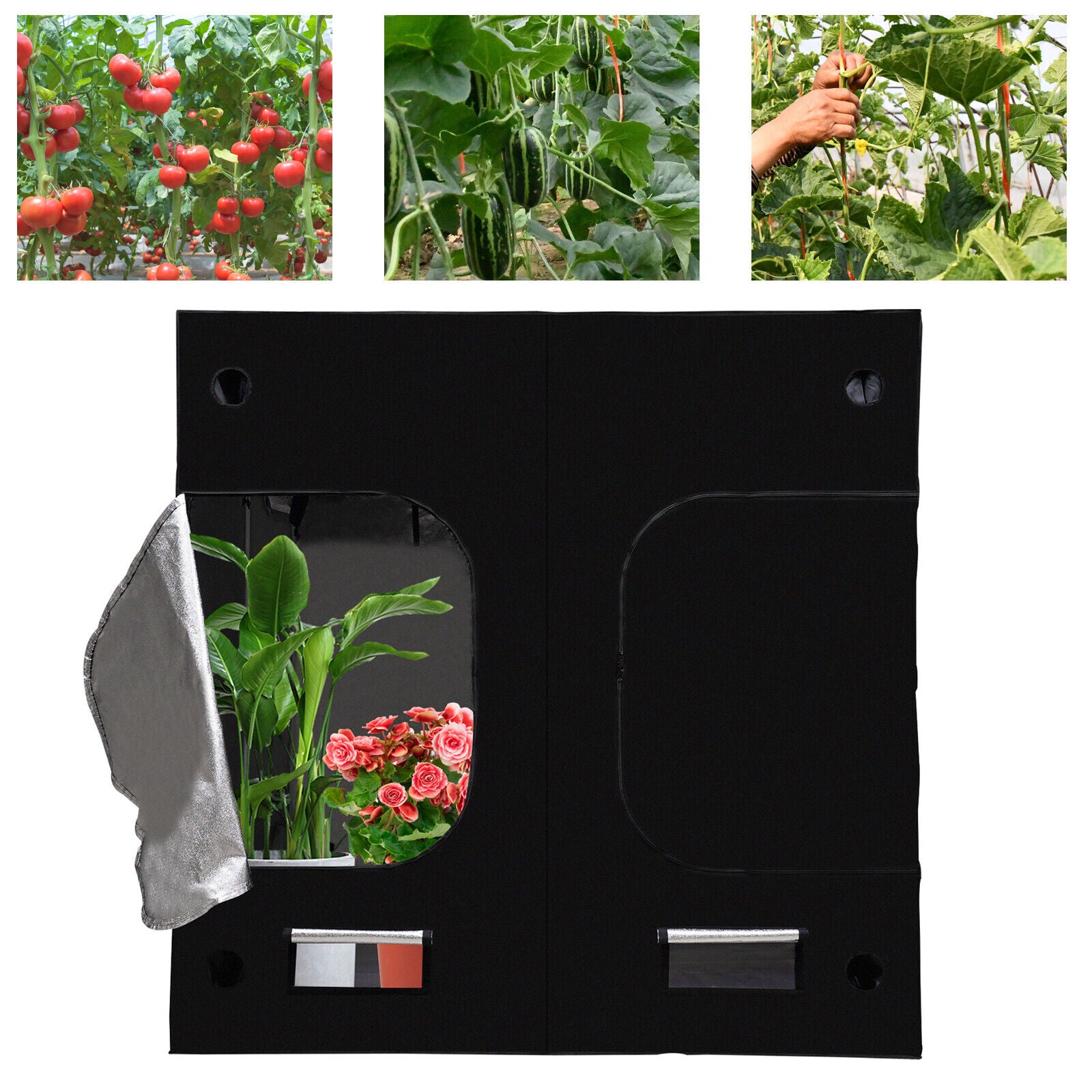 Black Oxford Cloth， Iron， Reflective Aluminum Film New Hydroponic Grow Tent Window Floor Tray for Indoor Plant Growing 80*80*80 inch