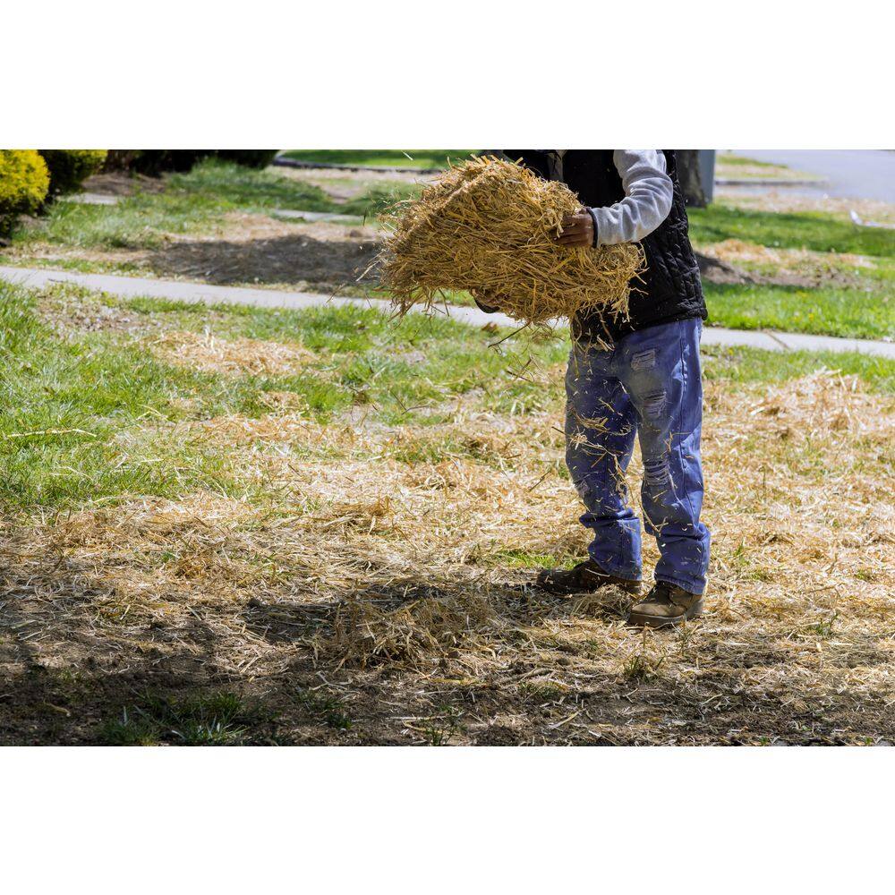 BELL NURSERY Mini Straw Bales 8 in. x 10 in. x 16 in. STRAWMINI1PK