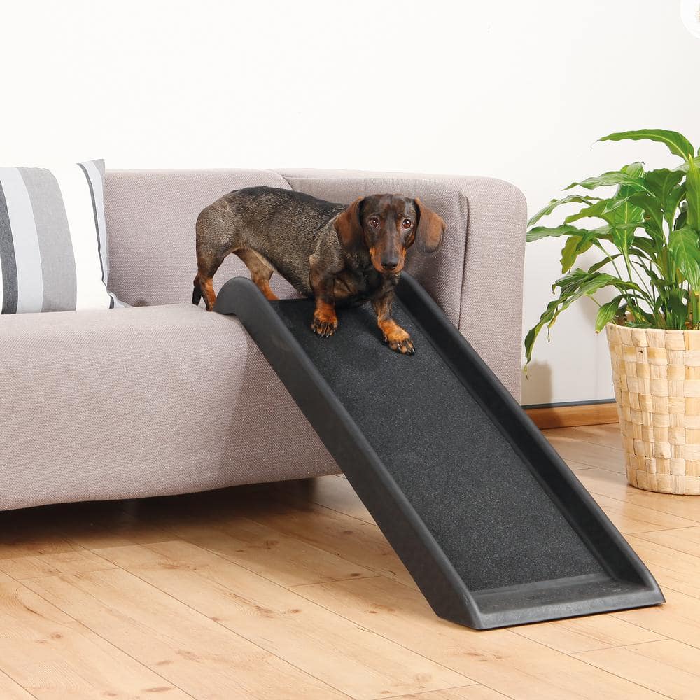 TRIXIE 39.25 in. L x 14.75 in. W Pet Safety Ramp 3942