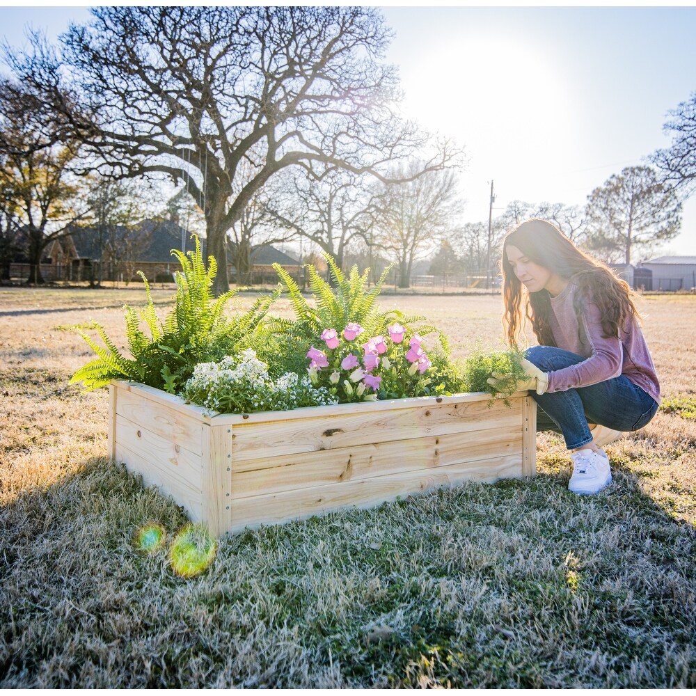 Zylina Superior Raised Garden Bed   46 x 35 x 12