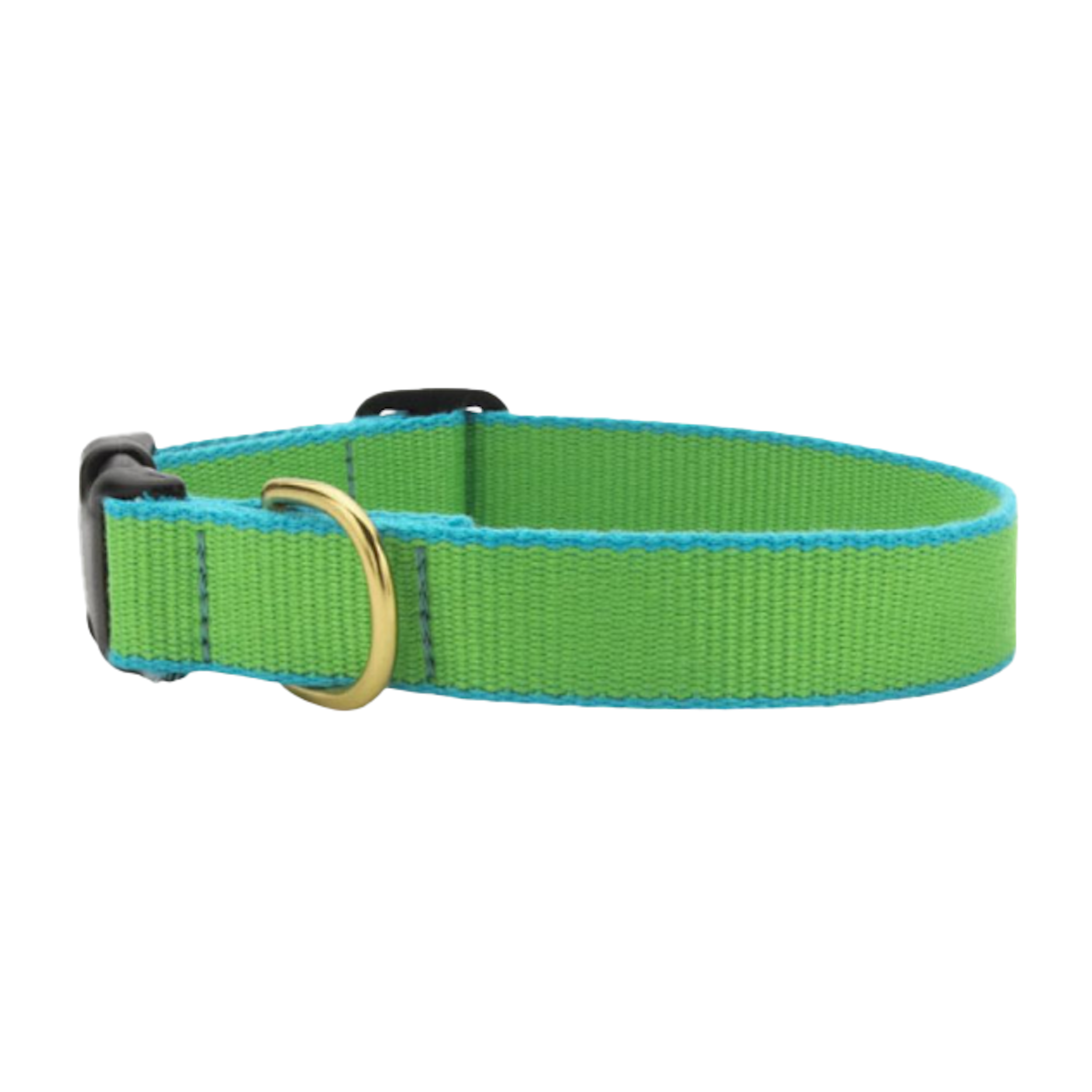 Collar | Lime & Aqua