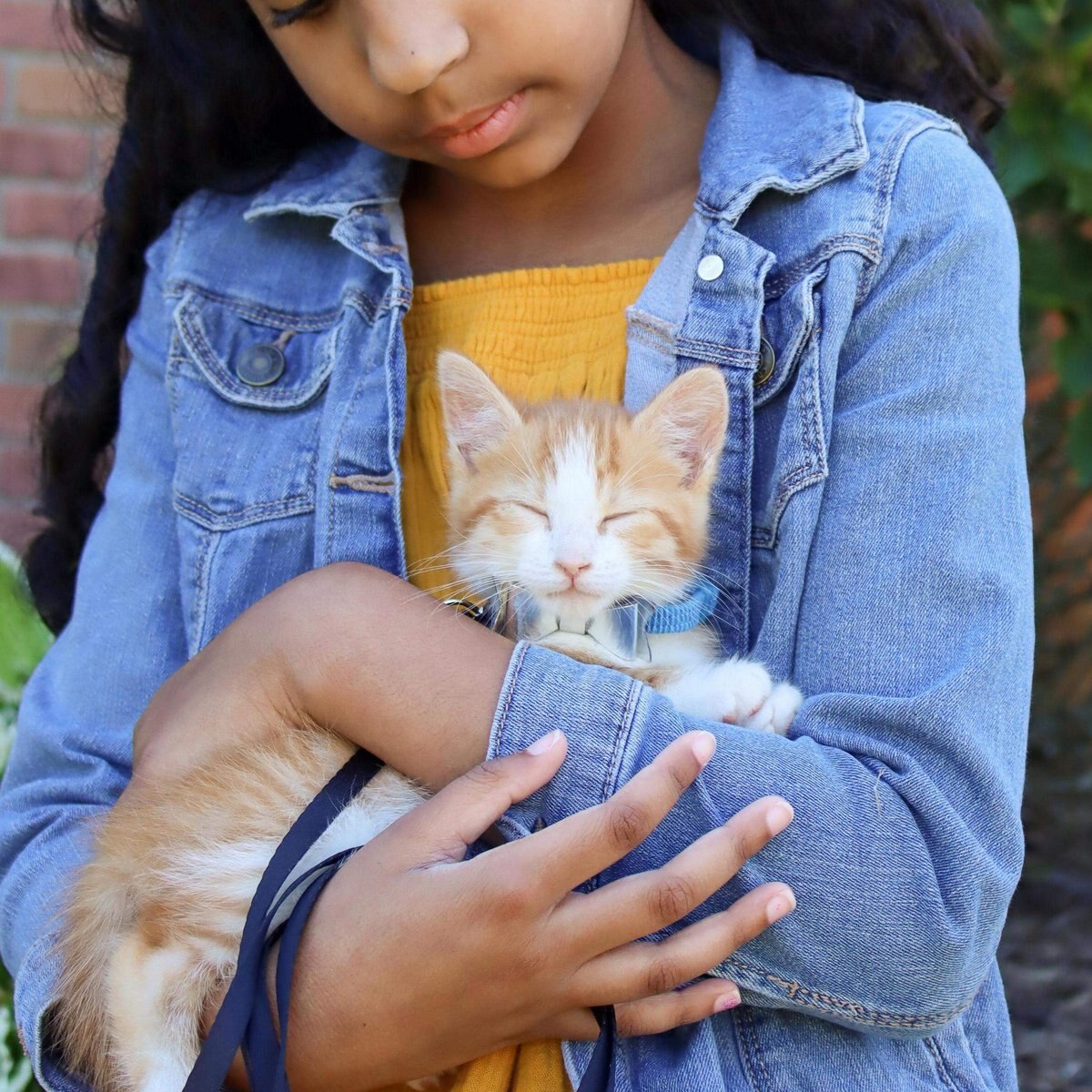 Li'l Pals Kitten Embellishment Collars