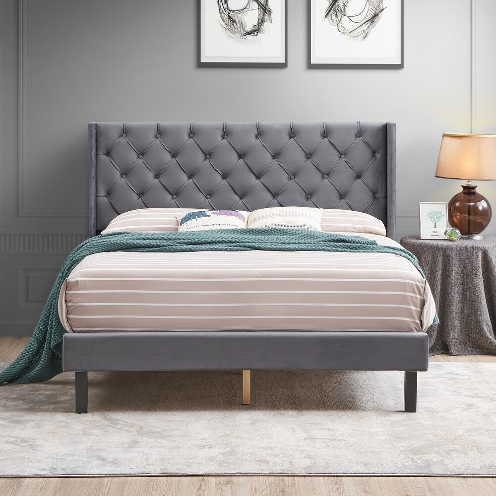 Velvet Button Tufted Upholstered Platform Queen Bed with Wings Design  Grey