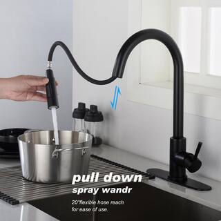 Toject Ballard Touch Single-Handle Pull-Down Sprayer Kitchen Faucet with Dual Function Sprayhead in Matte Black BST001MB