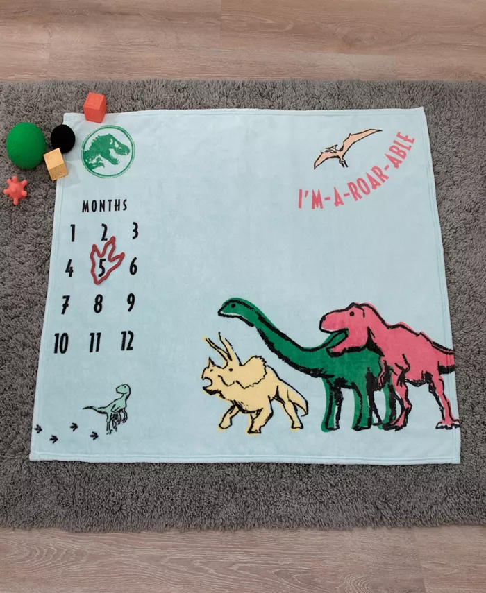 Welcome to the Universe Baby Jurassic World Milestone Baby Blanket