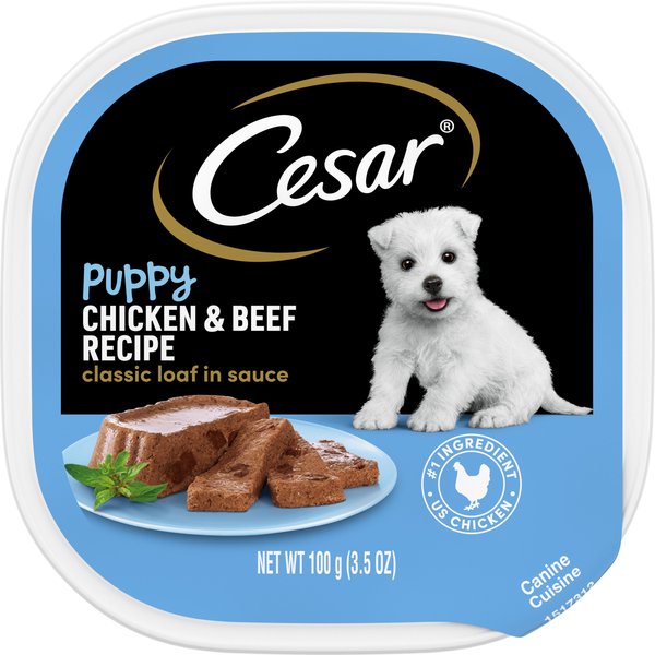 Cesar Puppy Classic Loaf in Sauce Chicken and Beef Recipe Dog Food Trays