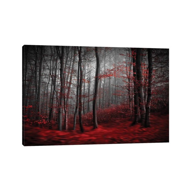 Bloody River By Samanta Krivec Unframed Wall Canvas Icanvas