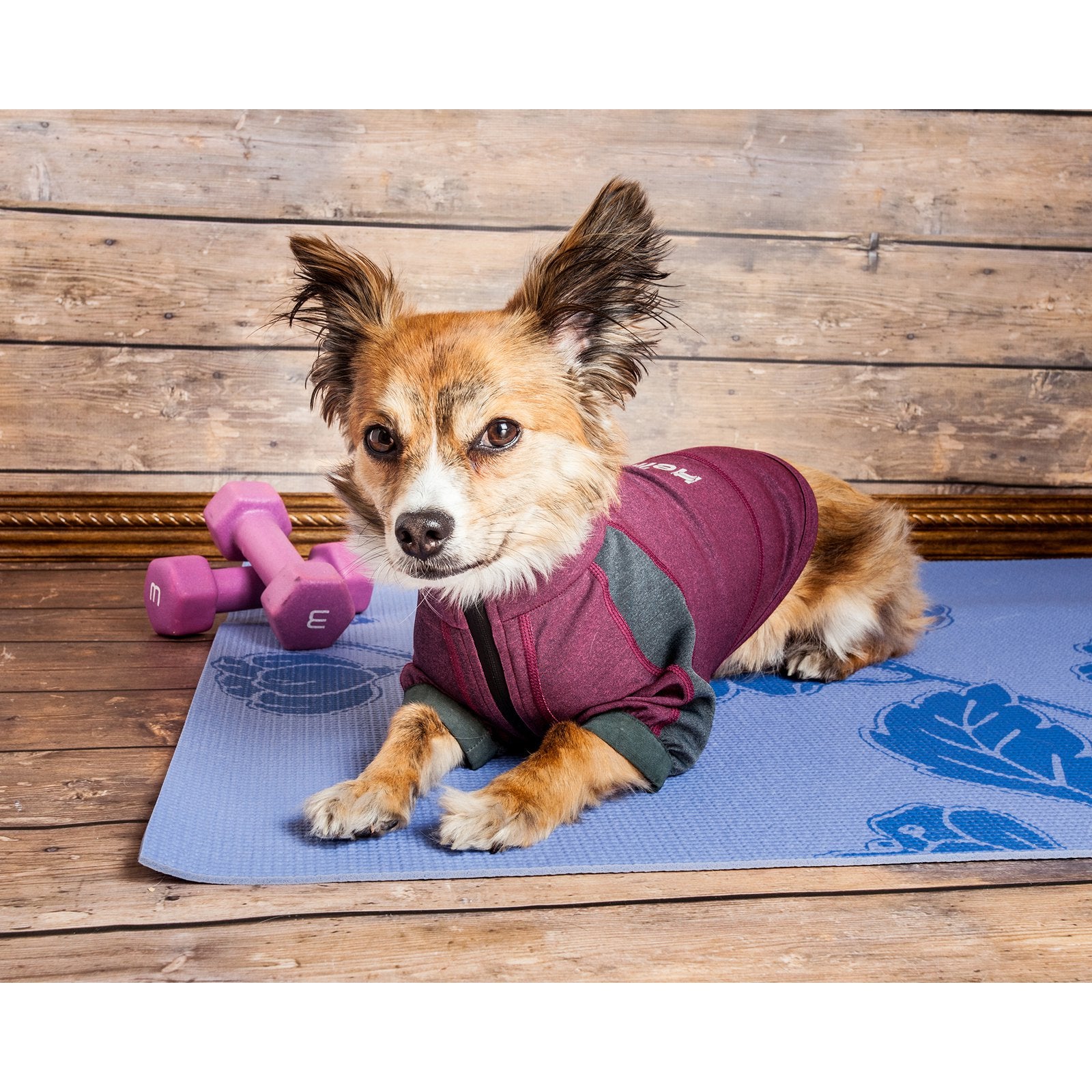 Dog Helios Eboneflow Mediumweight 4-Way-Stretch Flexible And Breathable Performance Dog Yoga T-Shirt