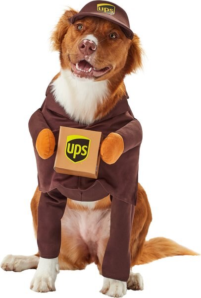 California Costumes UPS Delivery Driver Dog and Cat Costume