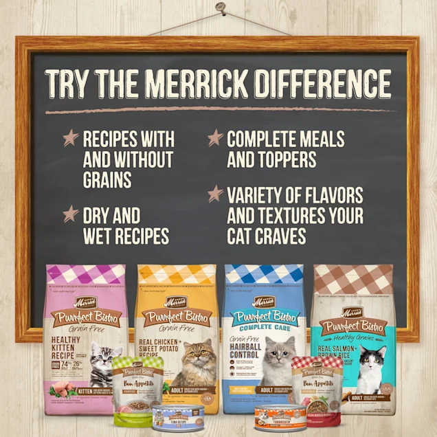 Merrick Purrfect Bistro Grain Free Chicken Recipe Pate Wet Cat Food， 5.5 oz.， Case of 24