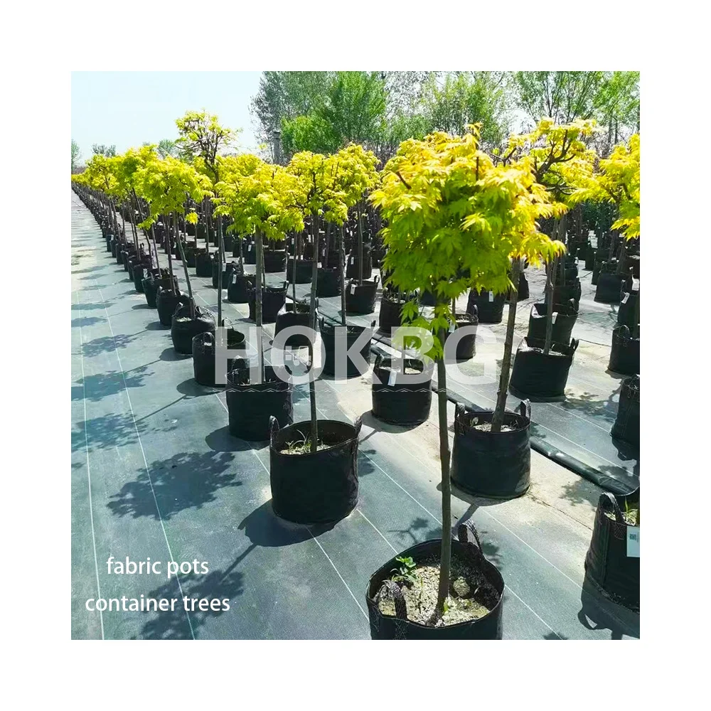 HOKBG Outdoor Garden Plant Seedling Nursery Plastic Flower Pots Black Plastic Plant Nursery UV stabilized Grow bags For nursery