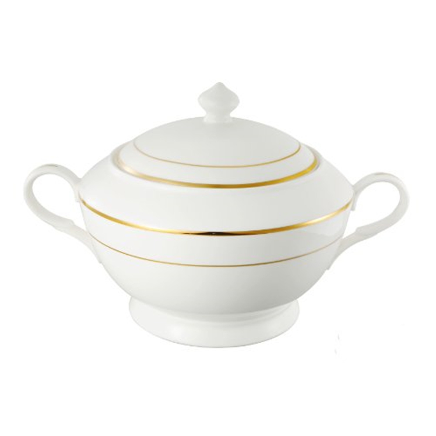 La Luna Collection Bone China Souptureen and Lid， Gold design by Lorren Home Trends