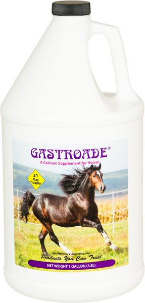 Cox Vet Lab Gastroade Liquid Horse Supplement， 1-gal bottle