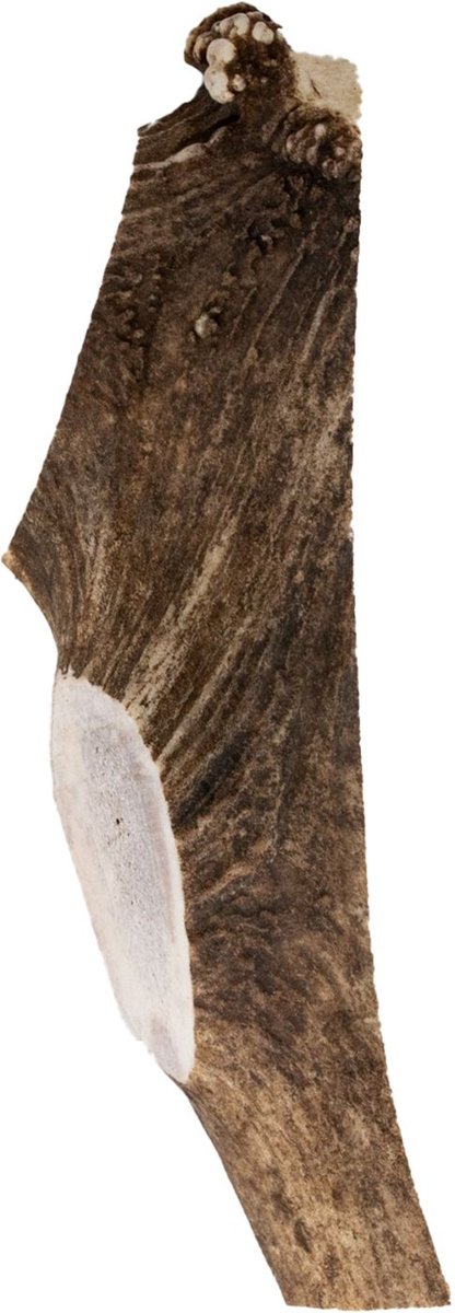 Pupford Split Elk Antler Dog Chew