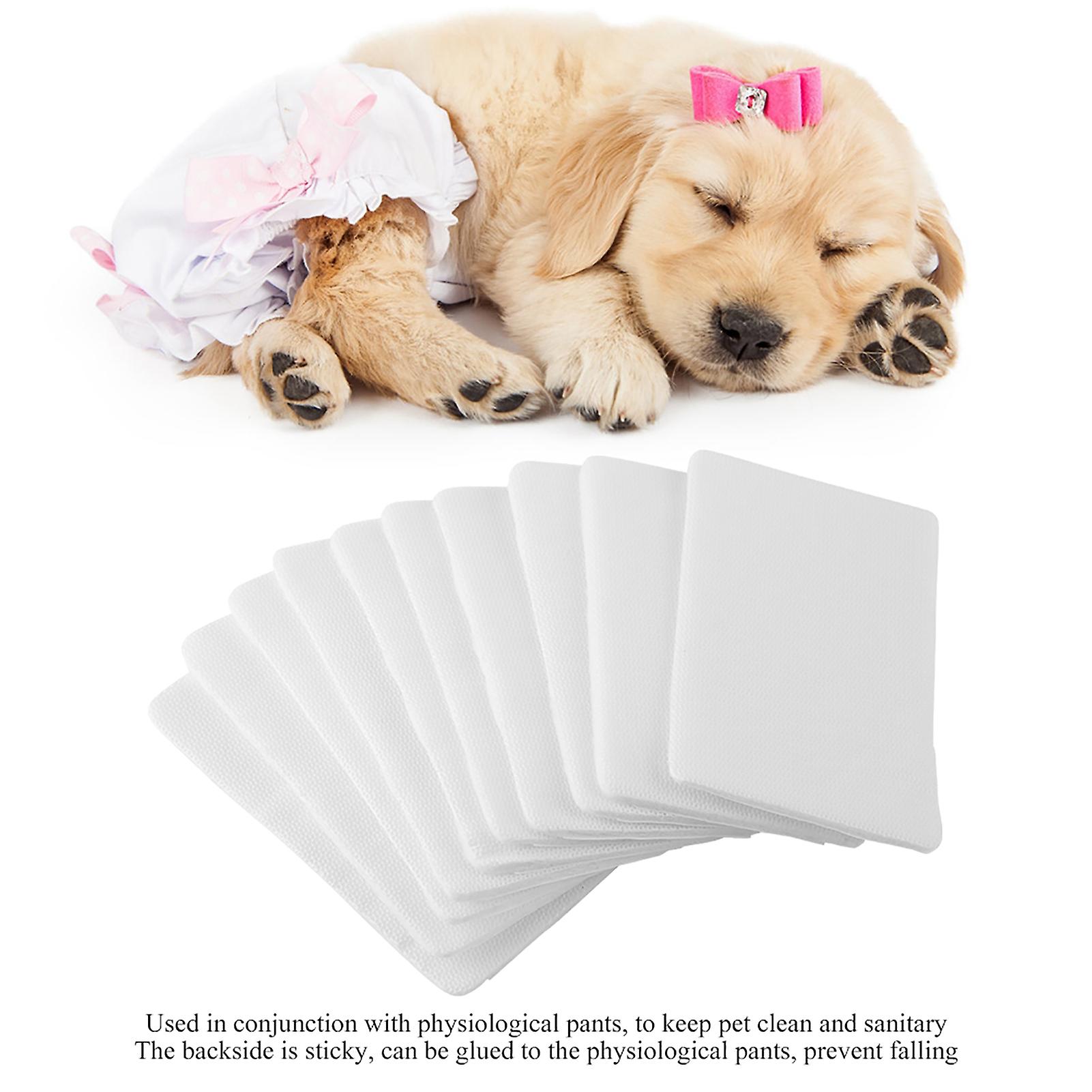 Disposable Puppy Sanitary Napkin Paper Mat Dog Hygienic Pants Diaper Mat (M 10Pcs)