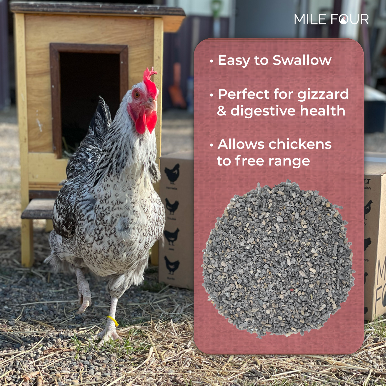 Mile Four | Grit for Healthy Chickens | 100% US Mined Quartzite， Mineral Grit | Organic， Natural Crushed Grit Quartzite， Mineral Grit | Healthier Chickens | 4 lbs.