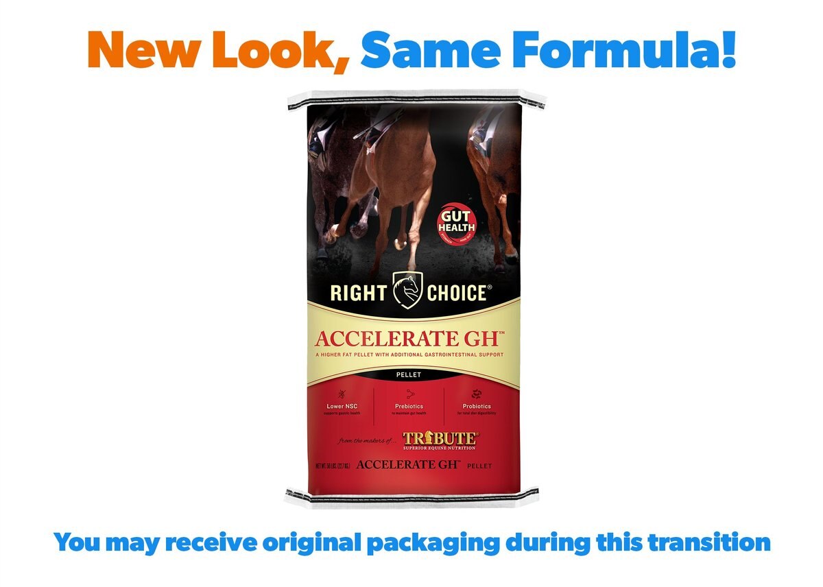 Right Choice Accelerate GH Gut Health Horse Feed