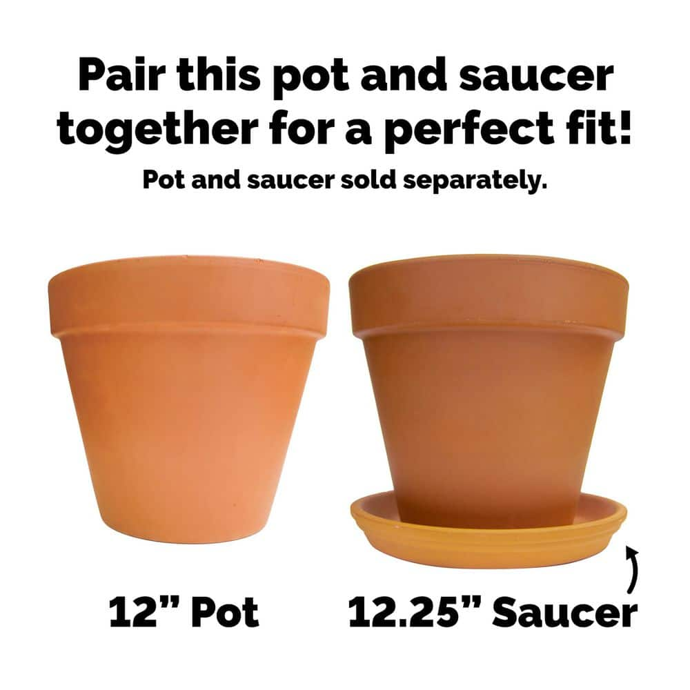 Pennington 12 in. Medium Terra Cotta Clay Pot 100043019