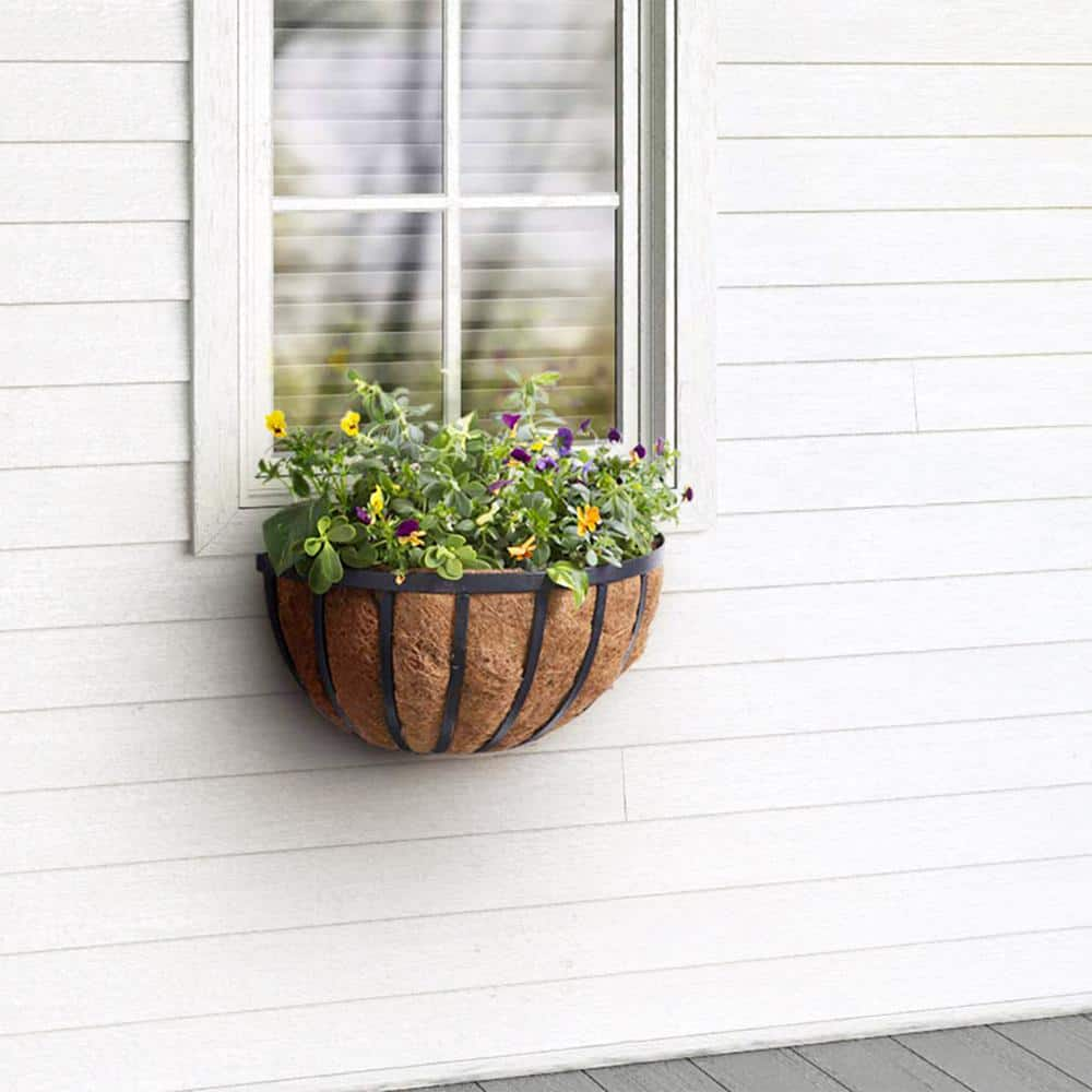 Arcadia Garden Products Solstice 16 in. Black Metal Coconut Wall Planter 1527