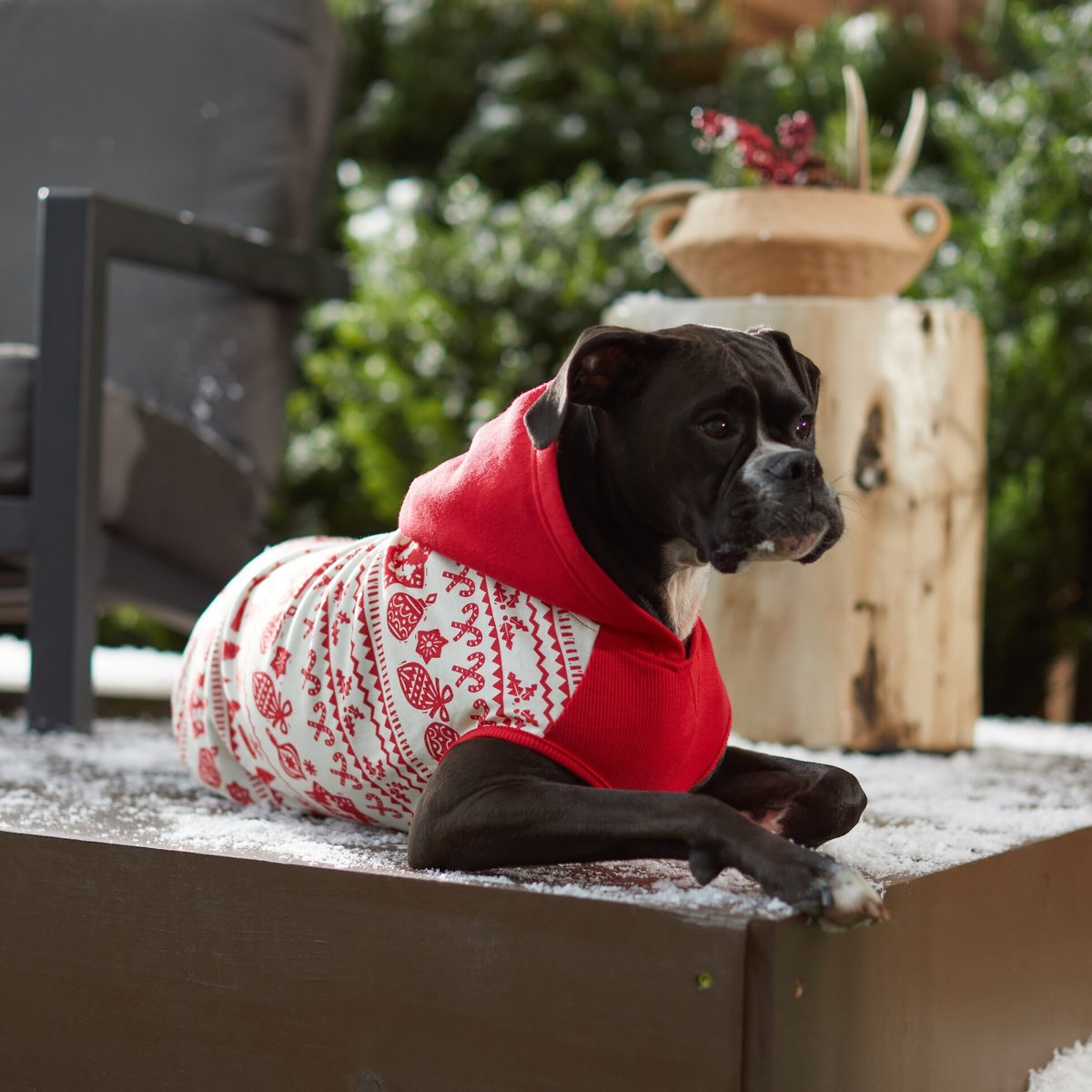 Disney Mickey Mouse Holiday Fair Isle Dog and Cat Hoodie