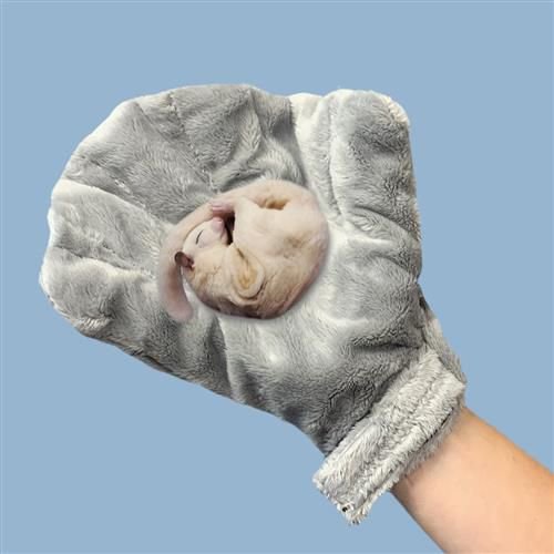 Exotic Nutrition Calming Small Pet Glove， Gray