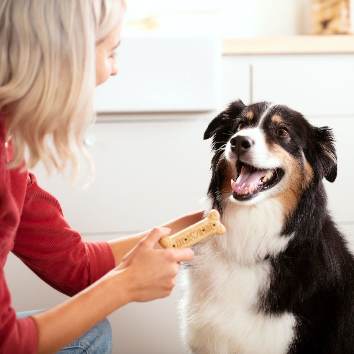 Milk-Bone Original Large Biscuit Dog Treats