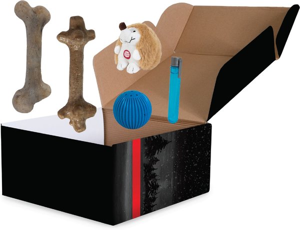 Pet Qwerks Gift Box Dog Toy