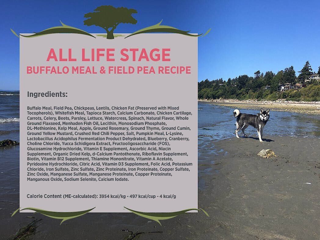 Blackwood Buffalo Meal and Field Pea Recipe Grain-Free Dry Dog Food