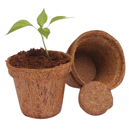 Good Quality CocoCoir Pots Reshaping Industries with Eco Conscious Solutions Harnessing the Strength of CocoCoir Pots From India