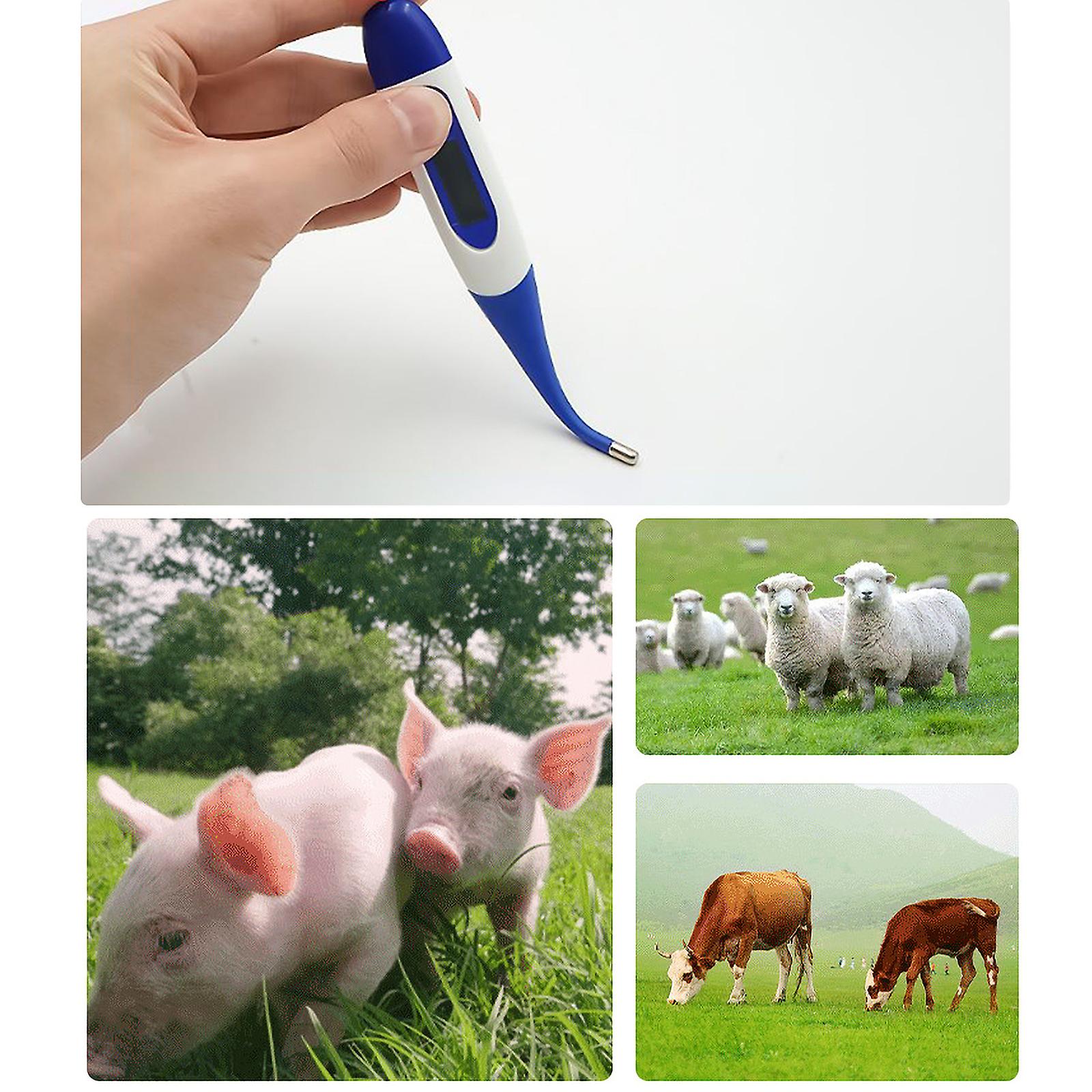 Animal Thermometer Digital Led Display Thermometer Fast Reading Accurate Waterproof Pet Digital Rectal Thermometer For Livestock Dogs Horse Cats Pigs