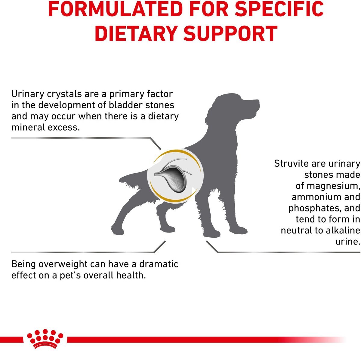 Royal Canin Veterinary Diet Adult Urinary SO Moderate Calorie Dry Dog Food