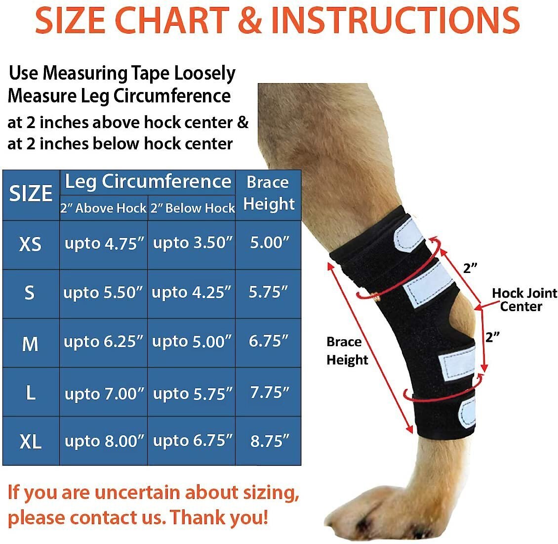 NeoAlly Rear Leg Metal Spring Support Dog Brace， 2 count