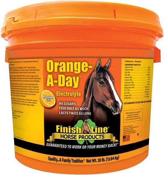 Finish Line Orange-A-Day Electrolyte Orange Flavor Powder Horse Supplement