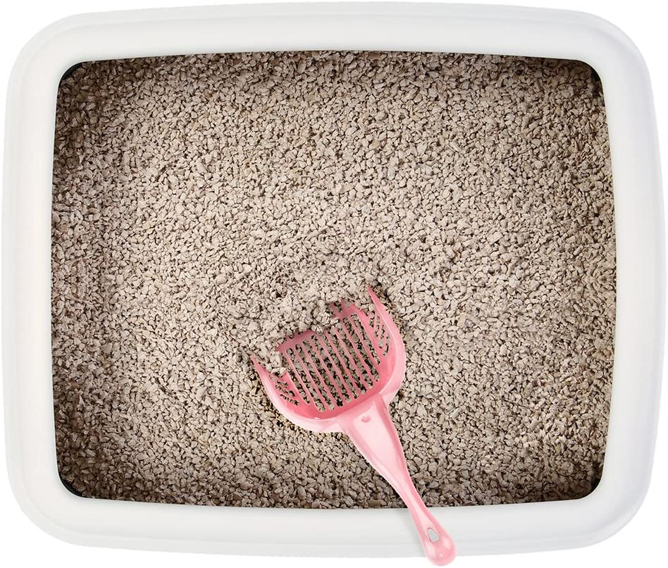 Brybelly ACSP-004 Coral Cat Litter Scoop with Reinforced Comfort Handle