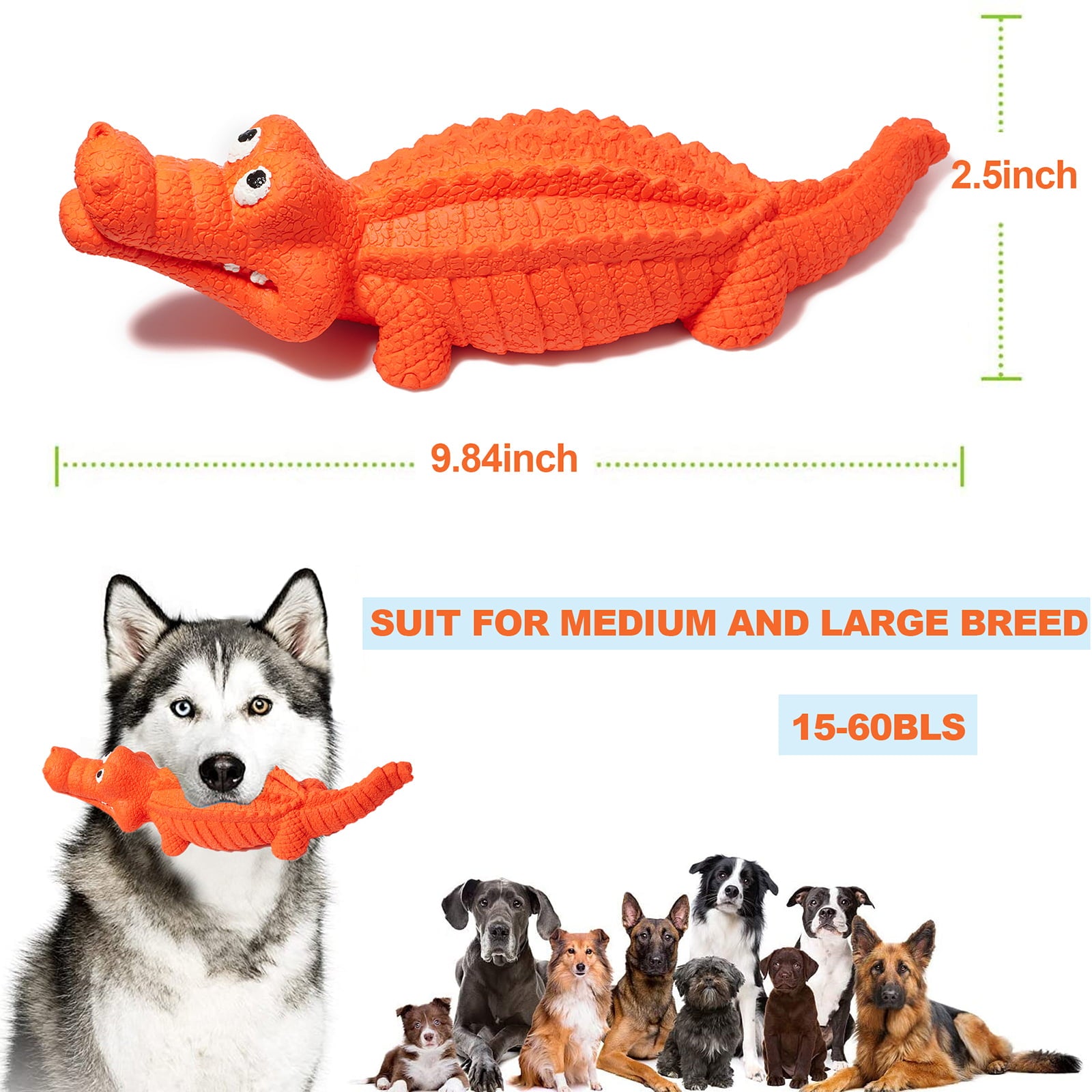 Pet Deluxe Squeaky Dog Toys for Aggressive Chewers， Indestructible Dog Toys Natural Rubber， Interactive Tough Dog Chew Crocodile Toy for Medium Large Dogs