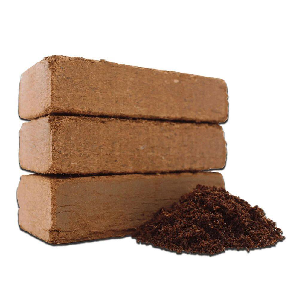 Plantonix Coco Bliss Premium Organic Coconut Coir Pith 650GM Bricks (20-Pack) B06ZZNY82S