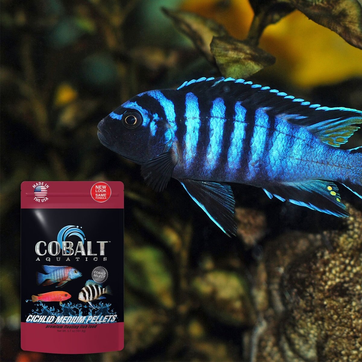 Cobalt Aquatics Cichlid Medium Pellet Fish Food