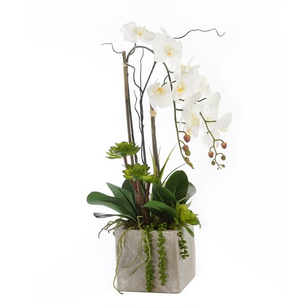 Real Touch White Orchids and Succulents in Square Cement Pot