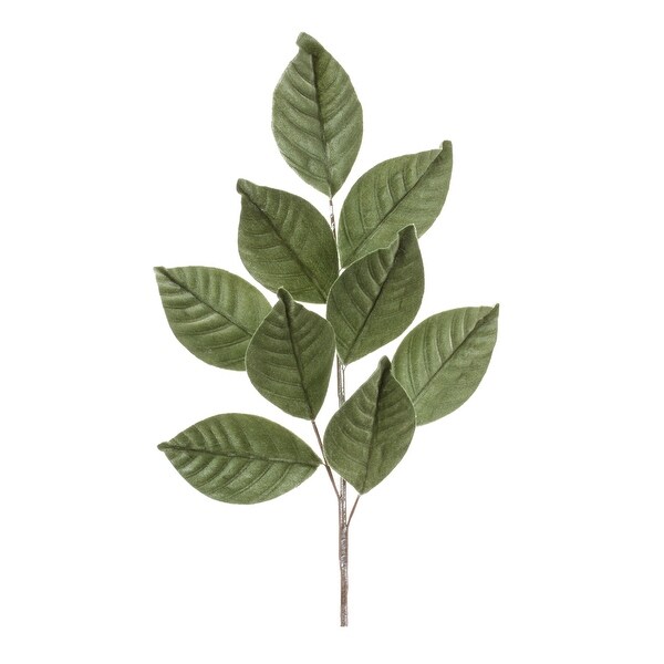 Magnolia Leaf Spray (Set of 6)