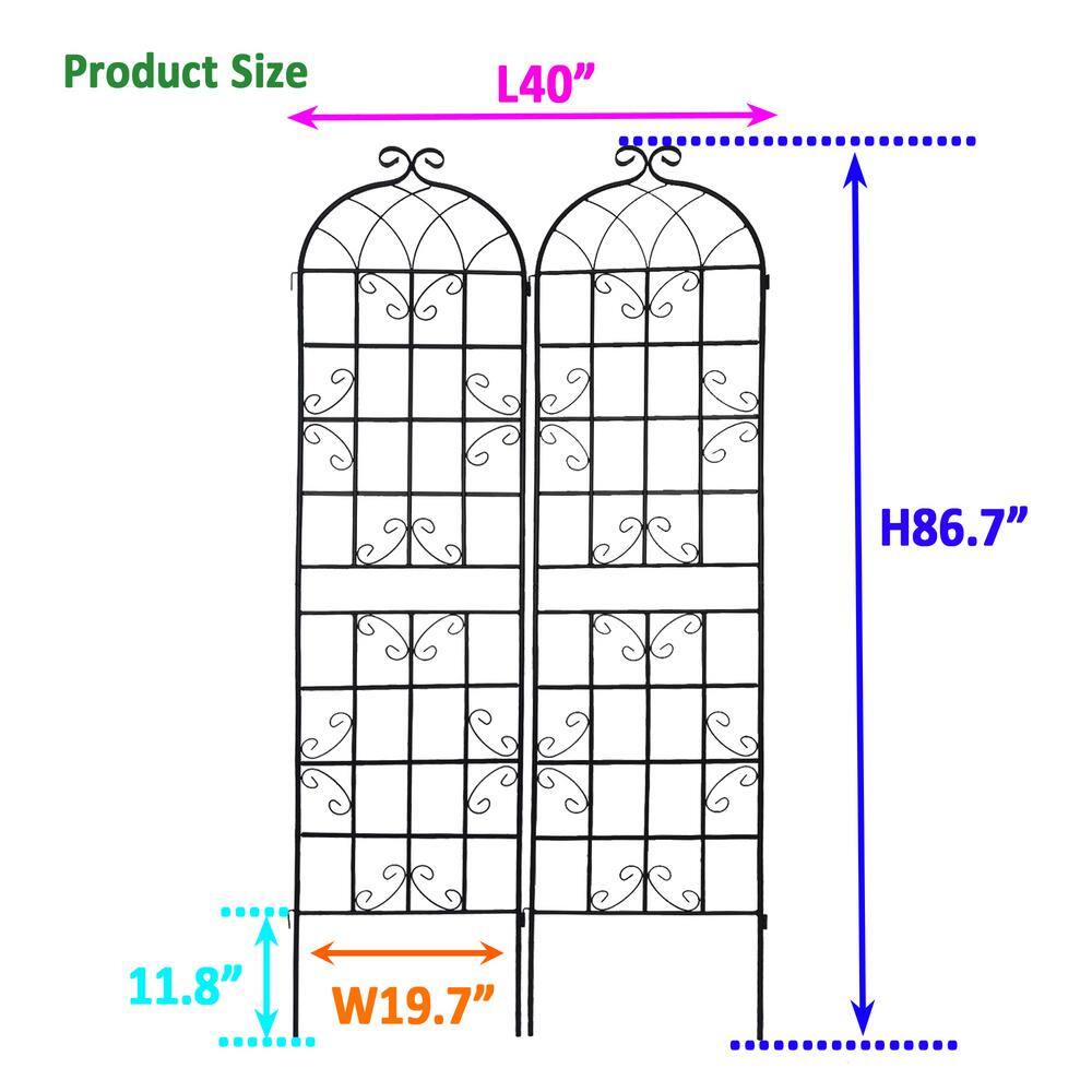 Zeus  Ruta 86 .7 in. Black 2-Pack Metal Garden Trellis for Climbing Plants Outdoor BCFG-126