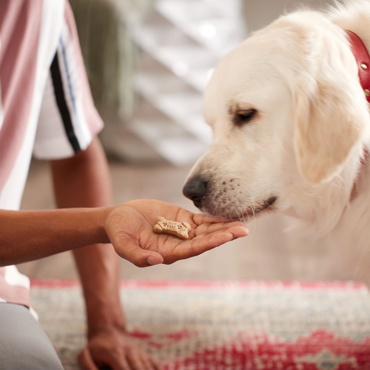 Milk-Bone Dipped Real Peanut Butter Crunchy Dog Treats