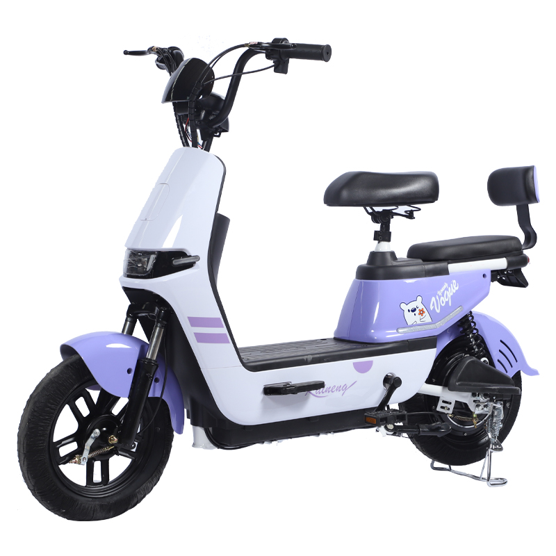 Paige Electric bike folding kids bicycle central motor e bike e free shipping scooter e bicycle bicicleta eletrica 1000w ebike