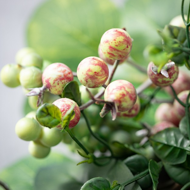 Sullivans Berry Foliage Mini Wreath