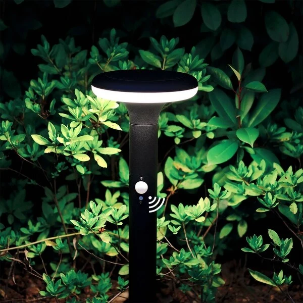 Inowel Solar Outdoor Light Pathway Garden Dusk to Dawn with Stake 2116