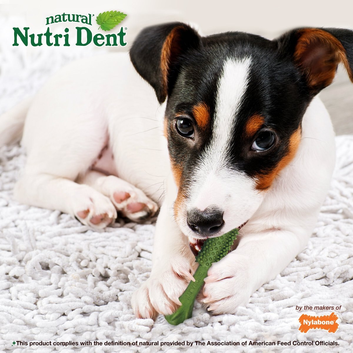 Nylabone Nutri Dent Limited Ingredients Fresh Breath Natural Dental Dog Treats， Small