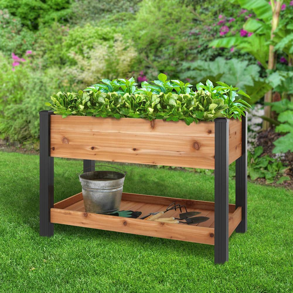 Vigoro 2 ft. x 4 ft. Elevated Cedar Garden Bed with Shelf (Vinyl Legs) 445190