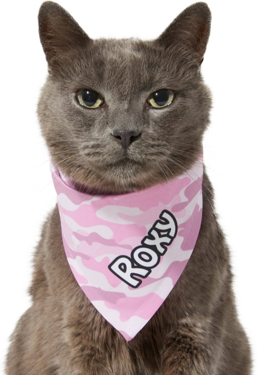 Frisco Pink Camo Personalized Dog and Cat Bandana